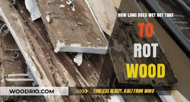 How Long Does Wet Rot Take to Destroy Wood?