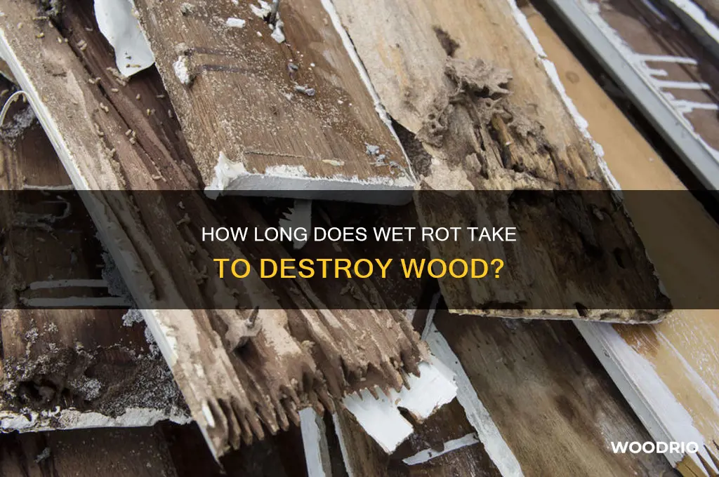 how long does wet rot take to rot wood