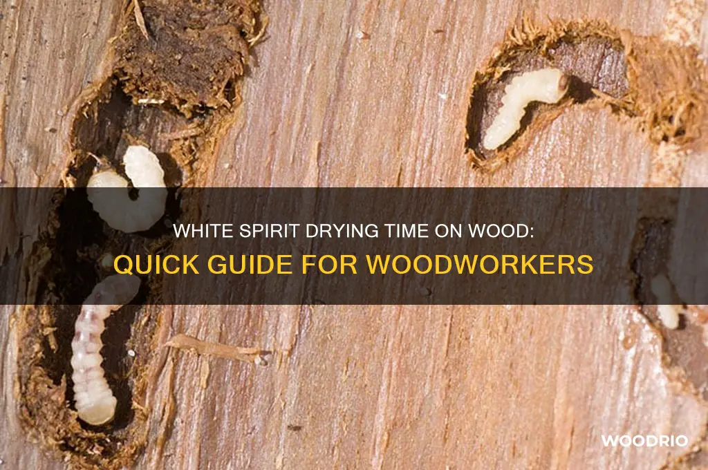 how long does white spirit take to dry on wood