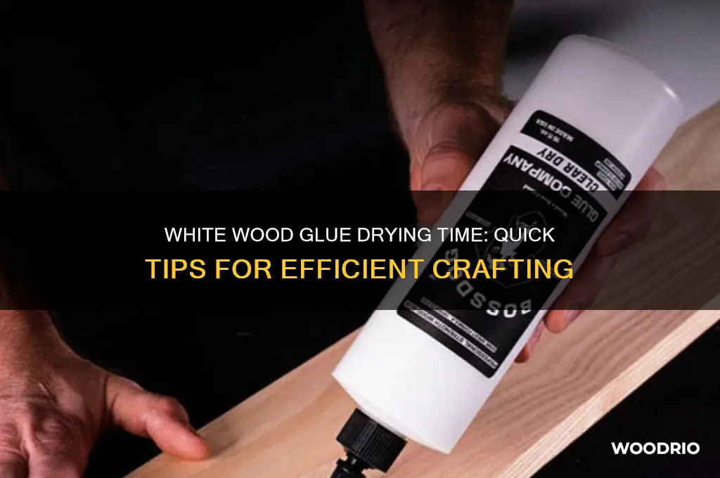 how long does white wood glue take to dry