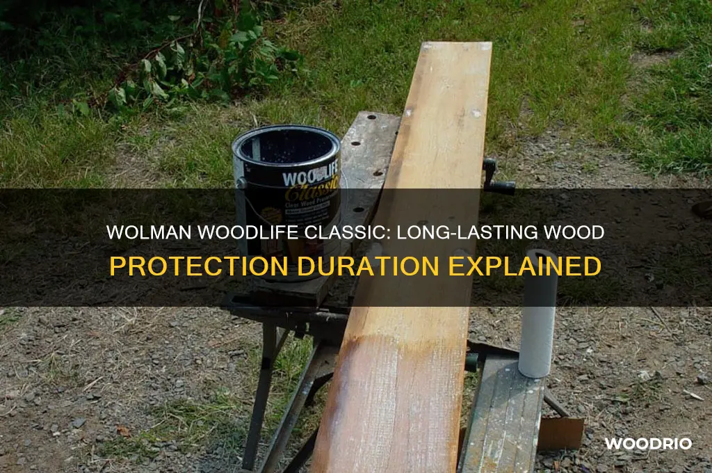 how long does wolman woodlife classic protect wood