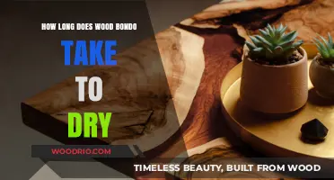 Wood Bondo Drying Time: Quick Guide to Perfect Repair Results