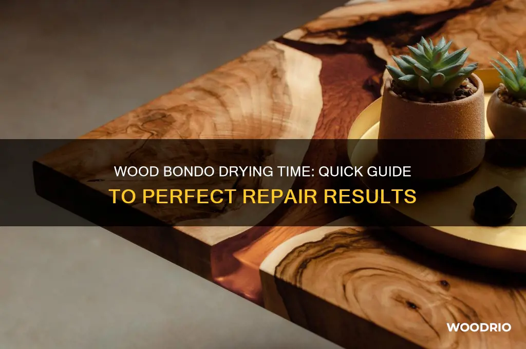 how long does wood bondo take to dry