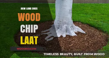 How Long Does Wood Chip Mulch Last in Your Garden?