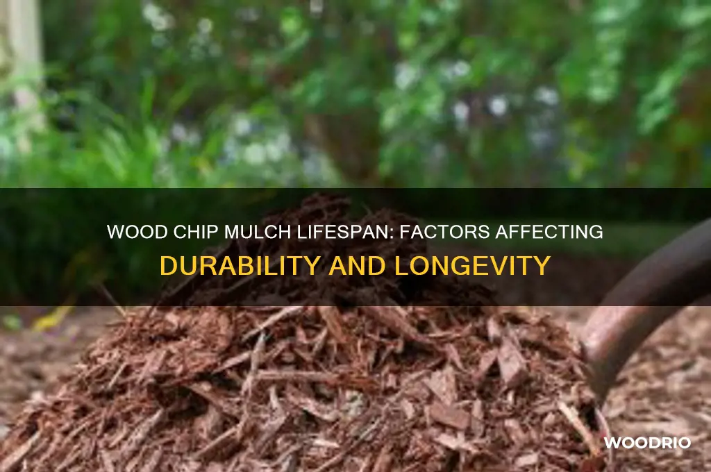 how long does wood chip mulch last