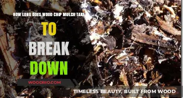 Wood Chip Mulch Breakdown: Understanding Decomposition Time and Factors