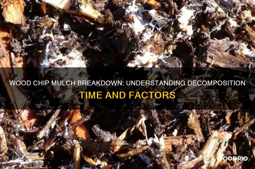 how long does wood chip mulch take to break down