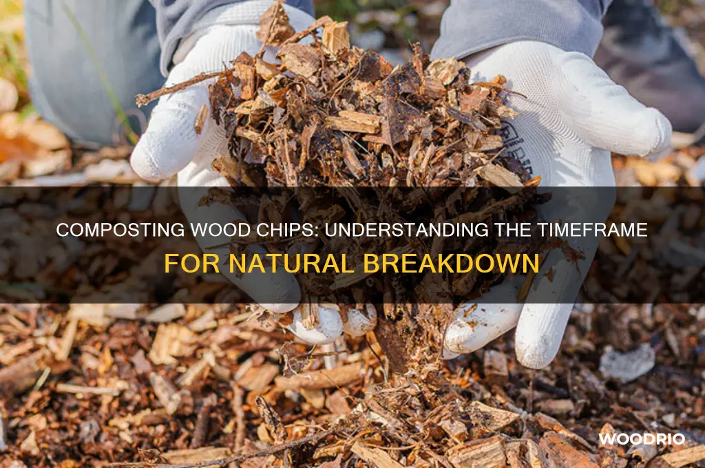 how long does wood chip take to compost