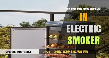 Electric Smoker Wood Chips Lifespan: How Long Do They Last?