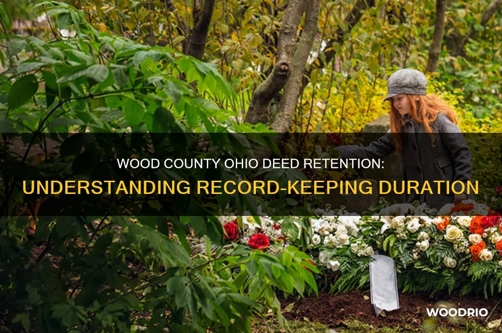 how long does wood county ohio keep deeds