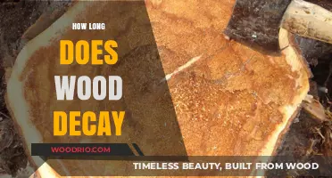 Understanding Wood Decay: Factors Influencing Decomposition and Longevity