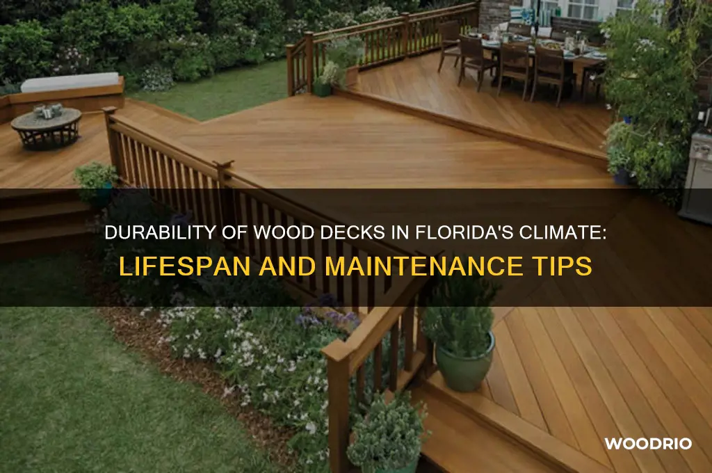 how long does wood deck last in florida