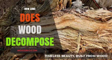 Wood Decomposition Timeline: Factors Affecting Decay and Breakdown Process