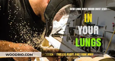 Wood Dust in Lungs: Duration, Risks, and Health Implications Explained