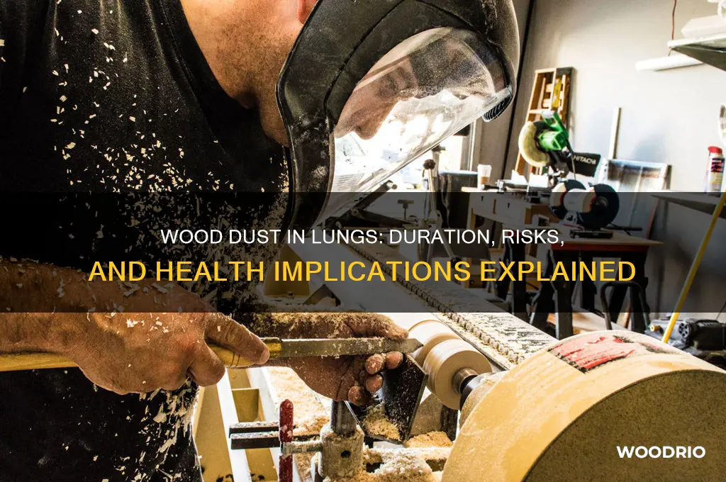 how long does wood dust stay in your lungs