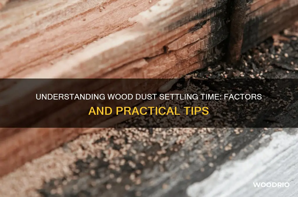 how long does wood dust take to settle
