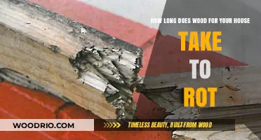 Wood Rot Timeline: How Long Does House Wood Last?