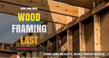 Durability of Wood Framing: Lifespan and Maintenance Tips Revealed
