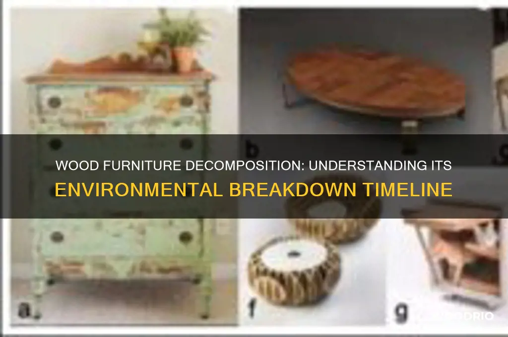 how long does wood furniture take to decompose