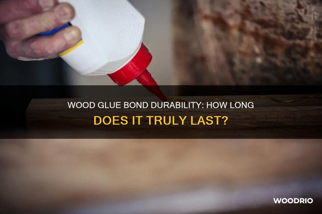 how long does wood glue bond last