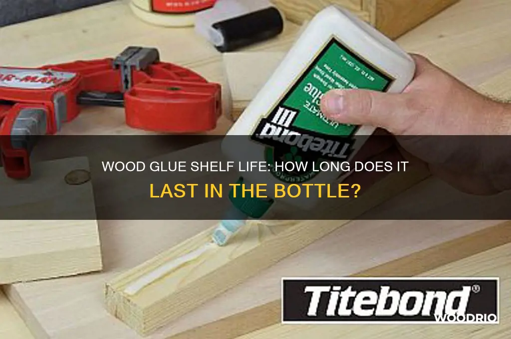 how long does wood glue last in bottle