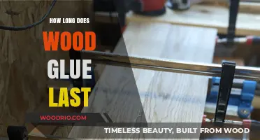 Wood Glue Shelf Life: How Long Does It Really Last?