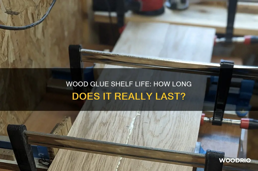 how long does wood glue last