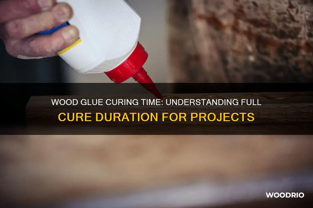 how long does wood glue take to fully cure