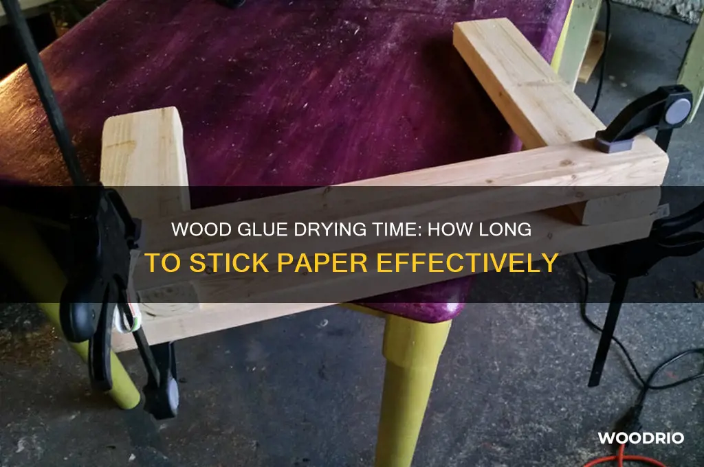 how long does wood glue take to stick to paper