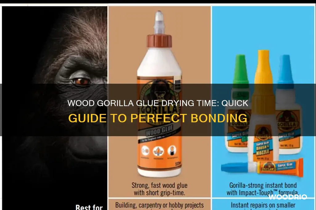 how long does wood gorilla glue take to dry