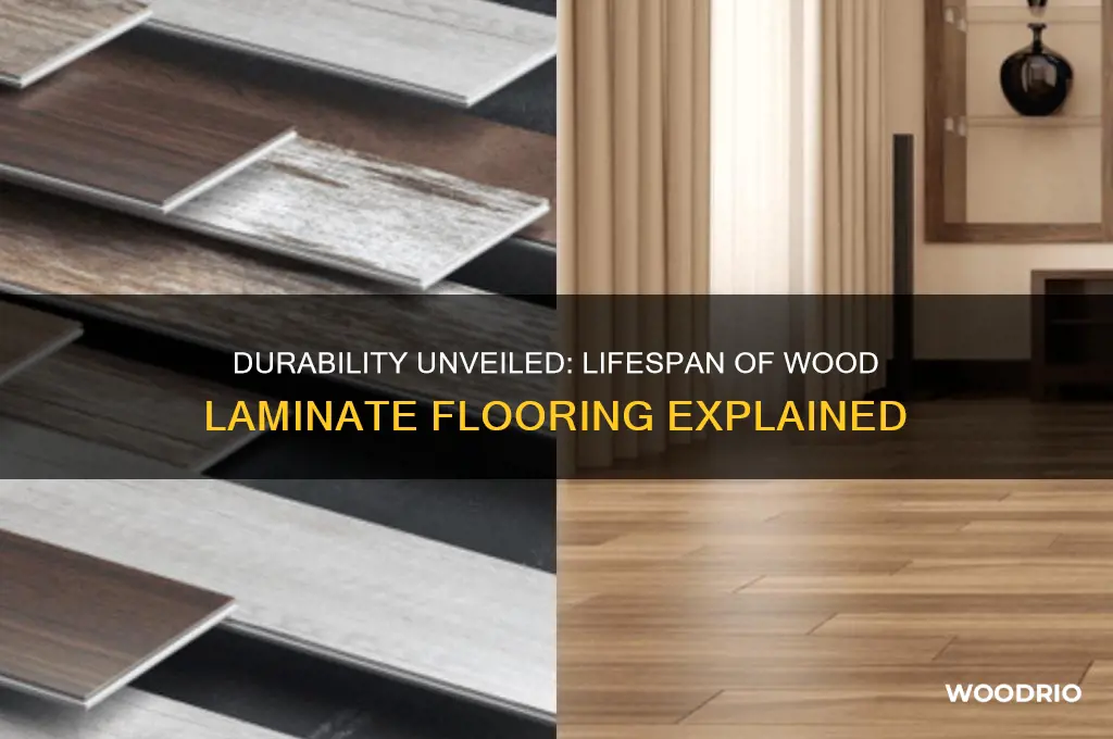 how long does wood laminate last