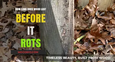 Wood Durability: Factors Affecting Rot and Longevity of Wooden Structures