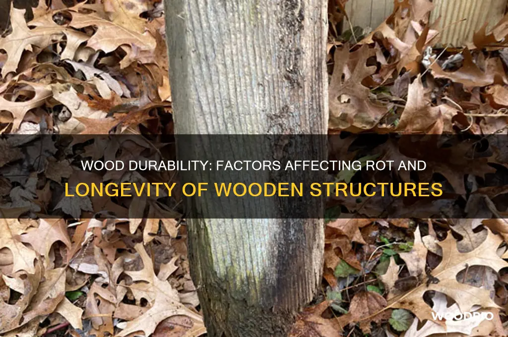 how long does wood last before it rots