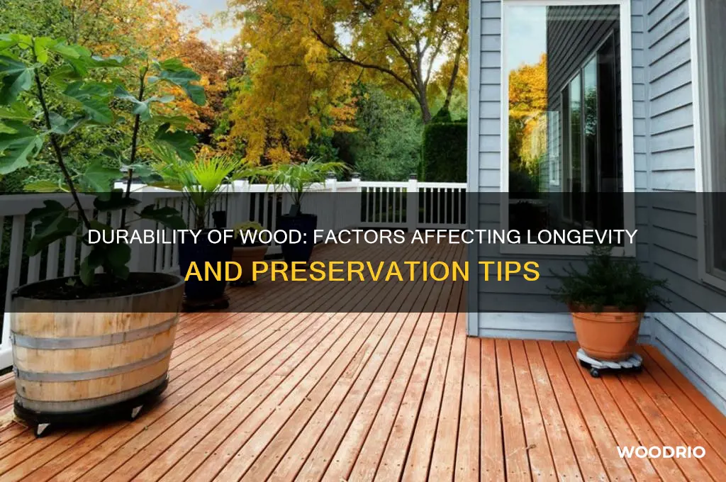 how long does wood last for