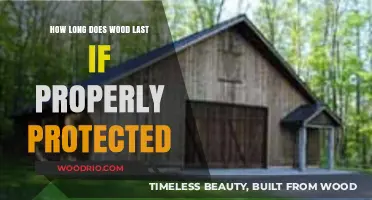 Maximizing Wood Longevity: Proper Protection Techniques for Lasting Durability