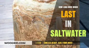 Wood's Durability in Saltwater: Lifespan and Preservation Tips