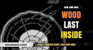 Wood Durability Inside: Factors Affecting Longevity and Preservation Tips