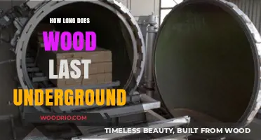 Underground Wood Durability: Factors Affecting Longevity and Preservation Techniques