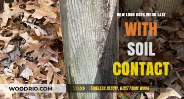 Wood Durability in Soil: Lifespan Factors and Preservation Tips