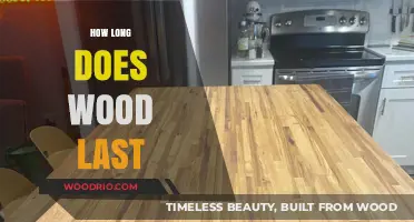 Durability of Wood: Factors Affecting Longevity and Preservation Techniques