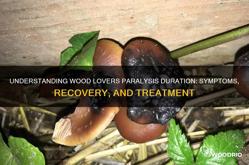 how long does wood lovers paralysis last