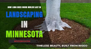 Durability of Wood Mulch in Minnesota Landscaping: Lifespan and Factors
