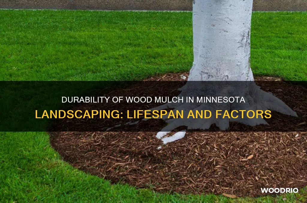 how long does wood mulch last in landscaping in minnesota