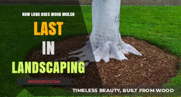 Durability of Wood Mulch: Lifespan and Landscaping Longevity Explained