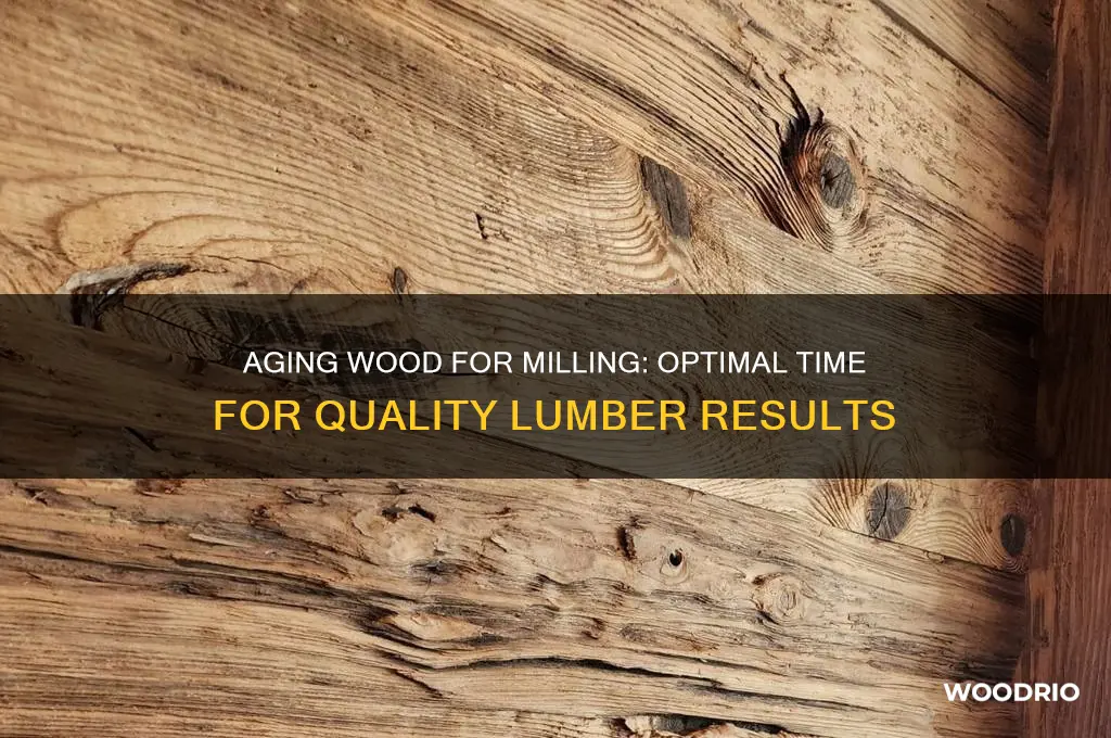 how long does wood need to age before milling