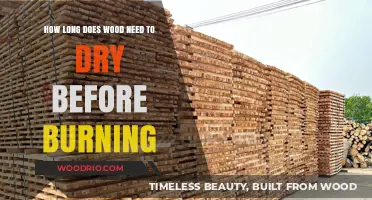 From Log to Blaze: The Essential Guide to Wood Drying Times