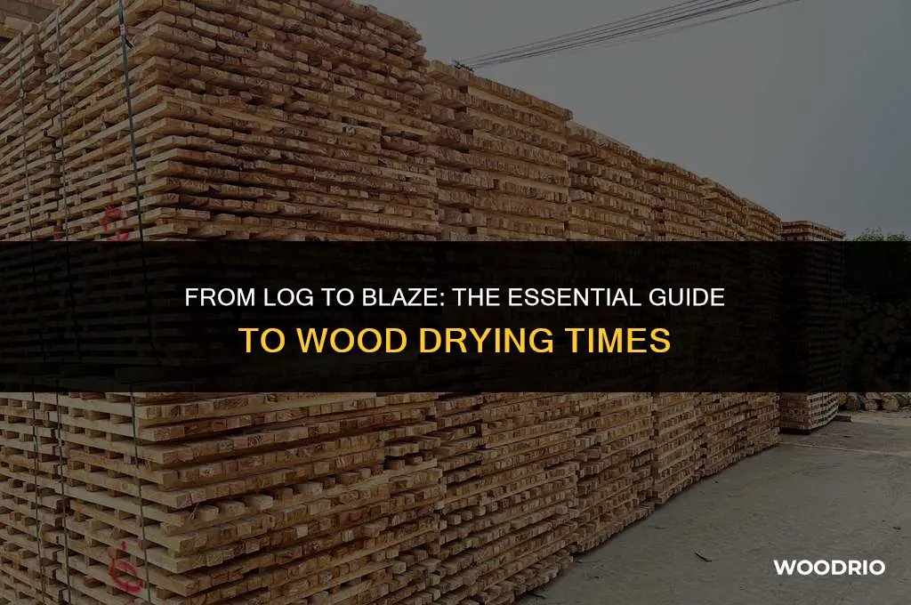 how long does wood need to dry before burning