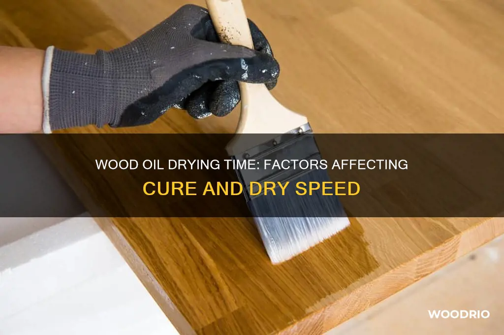 how long does wood oil take to dry