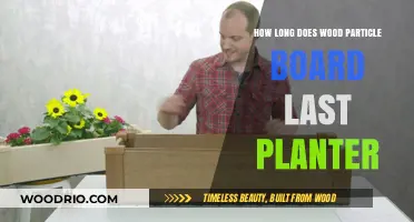 Wood Particle Board Planter Durability: Lifespan and Maintenance Tips