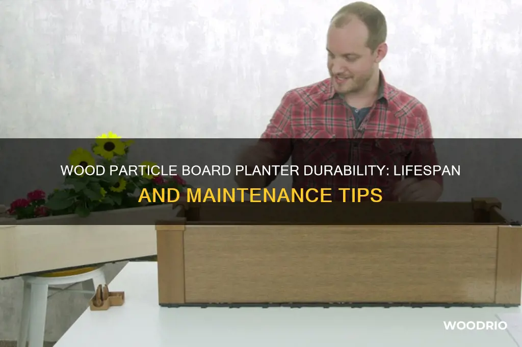 how long does wood particle board last planter